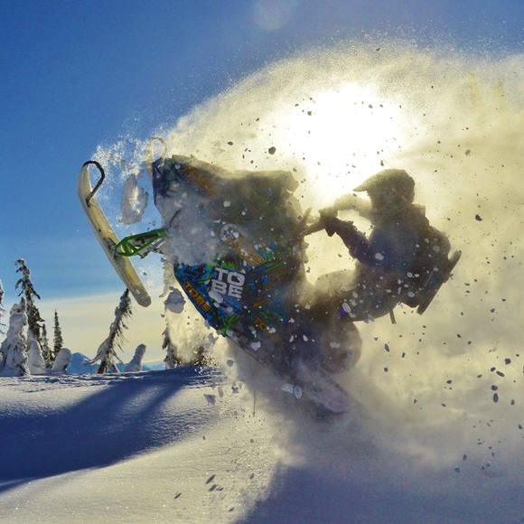 Meet your Posher, Gavin - Picture 1 of 1